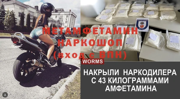 прущие грибы Мурманск