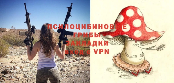 мдпв Покровск
