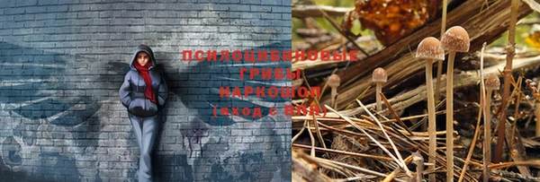мдпв Покровск