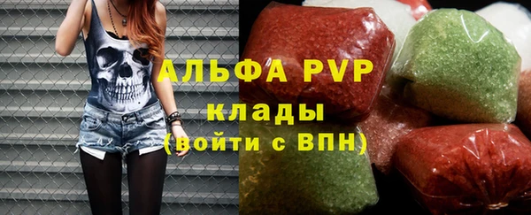 прущие грибы Мурманск