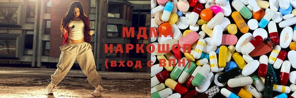 прущие грибы Мурманск