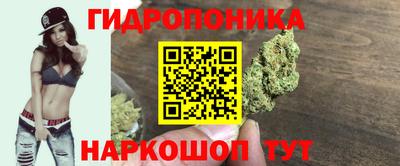 трава Пыть-Ях