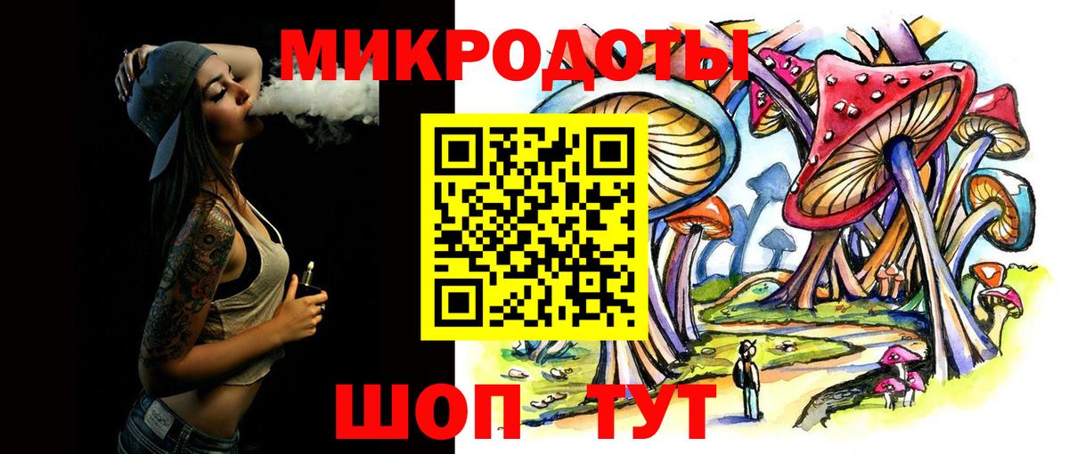 Галлюциногенные грибы Psilocybe Сафоново